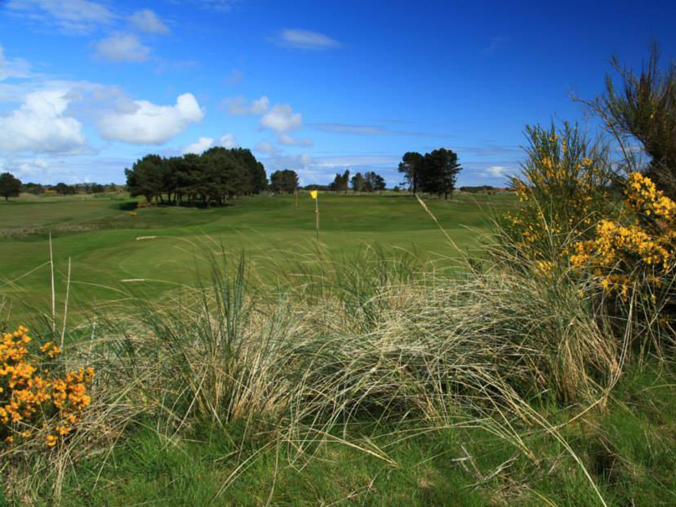 Play Monifieth Medal Course, near St Andrews, Scotland