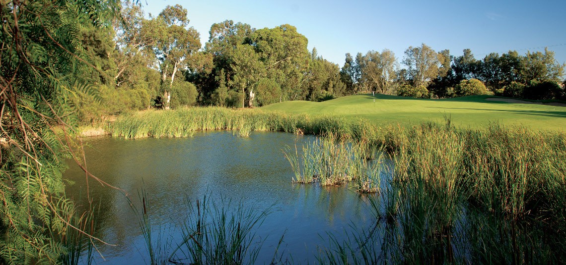 Penina Championship Course overlooking the pond